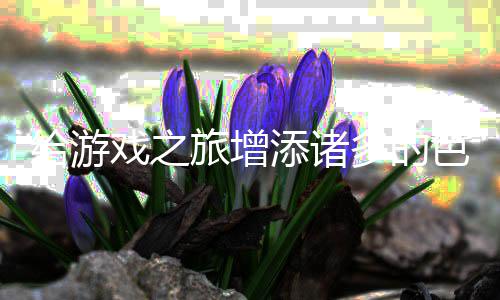 添诸多的给游戏之旅增色彩