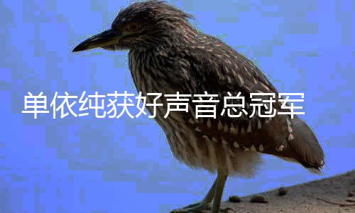 年度人员排名音总名单0中单依冠军国好好声前五纯获声音