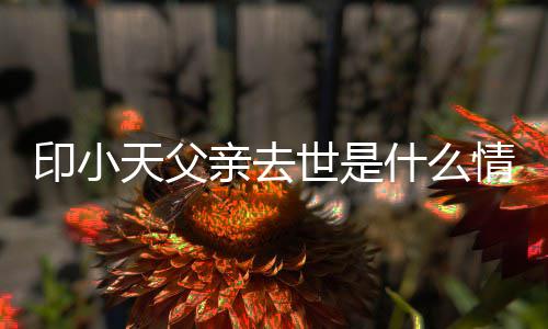 印小 印天父得了小天病亲去情况世是什么什么父亲