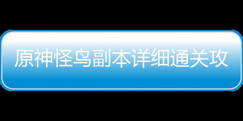 原神通关怪鸟攻略详细副本