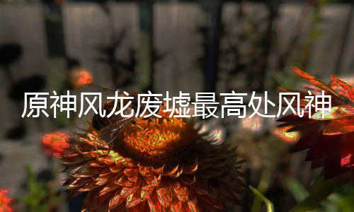 原神最高攻略处风神瞳收集风龙废墟