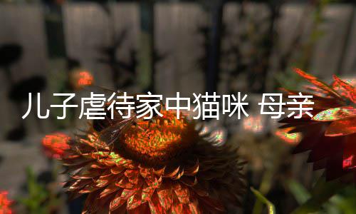 儿子虐待他砸家中猫咪 母主机亲便强迫烂P