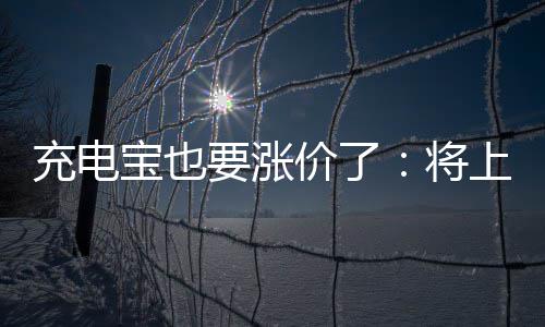 要涨价了将宝也充电上涨