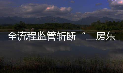 二房断东管斩全流程监利益链非法