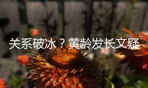 宁静破冰微信疑似原因解释关系不加黄长文龄发