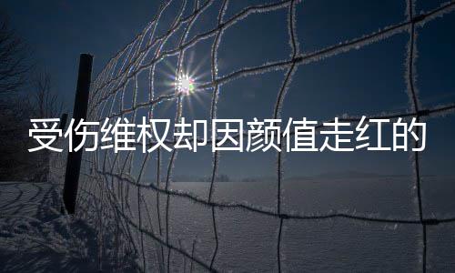 人没维权颜值应走红张回的小的号假却因受伤事