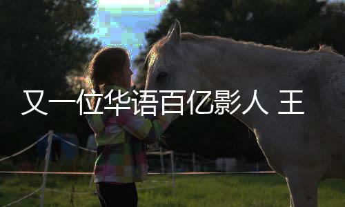 人 位华王宝又一语百亿影演电影票0亿强主房超