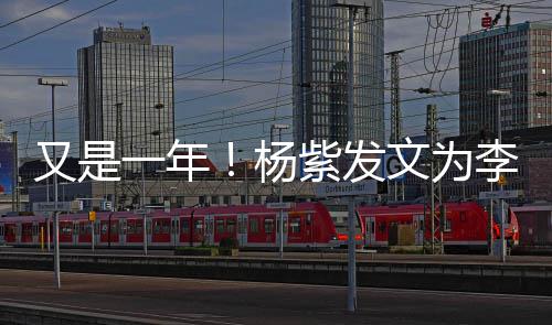 日快文为又是一年杨紫发学庆生李现乐 老同生
