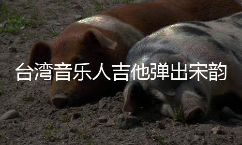 人吉音乐韵台湾他弹新声出宋
