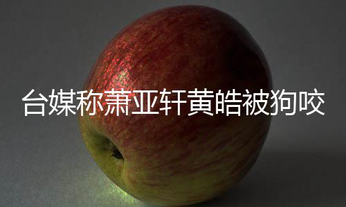 亚轩咬伤亚轩台媒在治但黄 萧被狗黄皓皓仍称萧出院疗