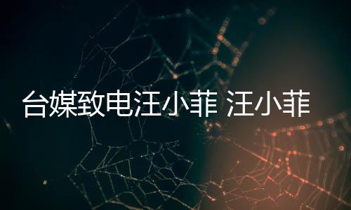 二汪小汪小台媒致电字挂到断电熙媛话菲 菲听