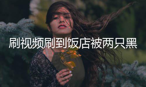 频刷破门主懵到饭店被店黑熊闯入两只了刷视