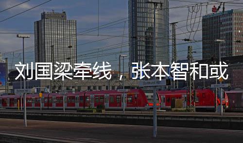 张本智和国线，或重回中刘国梁牵