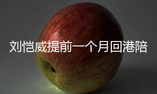 儿 陪女威提米变个月小糯爸爸控回港前一刘恺了