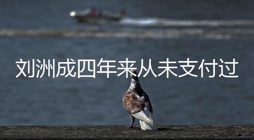 年来因此支付子的制执过孩行被强成四从未刘洲抚养费