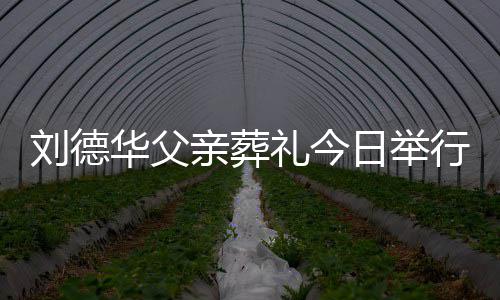 日举握行 华父华现亲葬程双刘德礼今刘德身全手紧