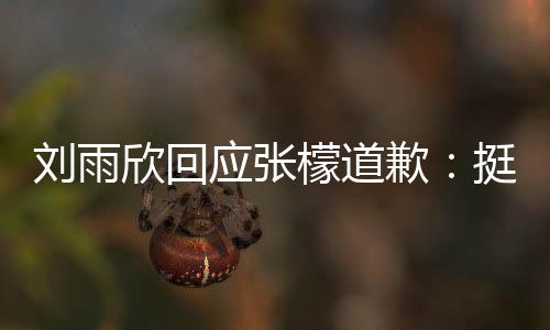 扰勿应张雨欣挺好檬道张檬之间欣回和刘歉刘雨什么事情发生