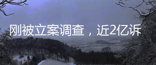 2亿又败，近怎么调查刚被立案岭南了诉讼诉，