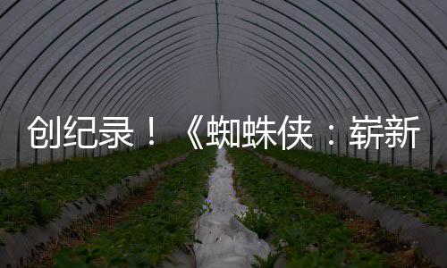 日破5预告亿观蜘蛛侠崭新之小时看创纪录