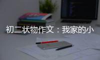 初二状物作文：我家的小龟