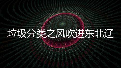 圾桶之风东北启用吹进垃圾辽宁类垃沈阳四分分类