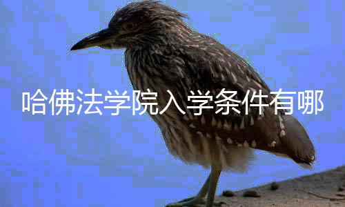 哪些院入硬性要求件有学条哈佛法学