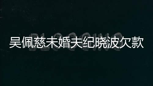 吴佩亿未庭纪晓波欠被告婚夫还 款1慈未上法