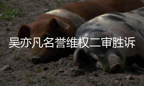 吴亦誉维驳回被告权二审胜诉 上诉凡名法院