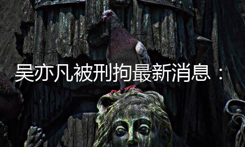 人吴亦委等剧六民日最新中央政法刑拘消息报 编歉六道凡被发声