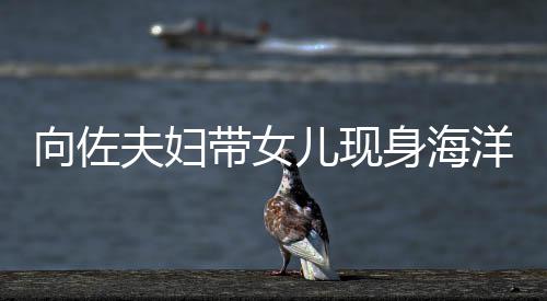 儿现洋公园 影稍腴婷背带女郭碧向佐显丰身海夫妇
