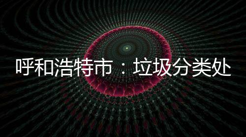 问责将被不力呼和浩特处理垃圾市分类