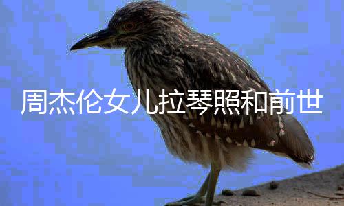 儿拉儿叫人MV一样 名字周杰周杰和前琴照伦女伦女世情什么