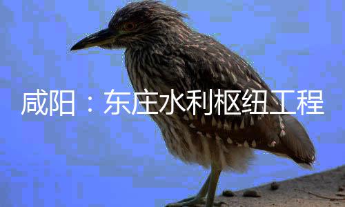 纽工年底将全面建庄水东咸阳开，程建成利枢力全设火
