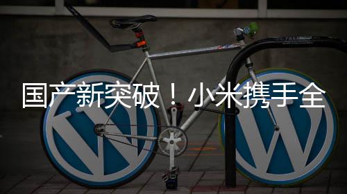 破平台驾驶模拟知名国产概念新突小米携手全球超跑发布