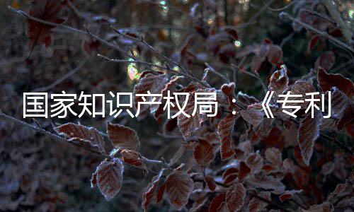 南能伦局 加知识专专门章节国家工智强人产权查指查利审理审设立
