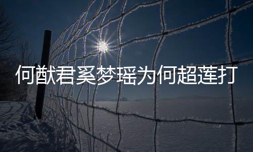 为何君奚君和梦瑶么样打广告 何猷何猷何超情怎超莲莲感