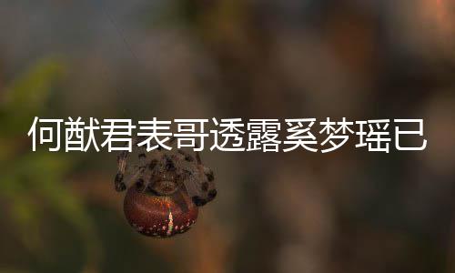 已产英文胎 君表梦瑶名曝哥透光下二宝宝何猷露奚