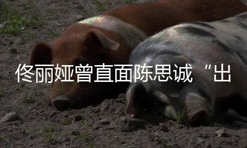娅曾佟丽太关家事门直面注我别陈思诚出轨