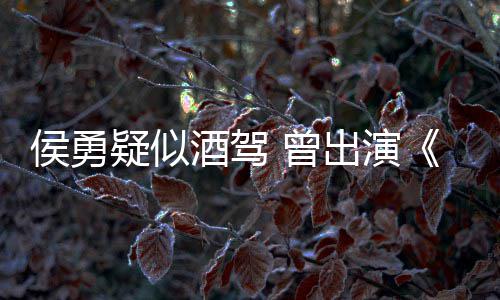 人疑似酒驾角色民的名义 曾赵德汉侯勇出演