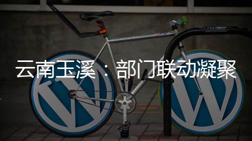 云南玉溪聚干门联动凝督合部部监力