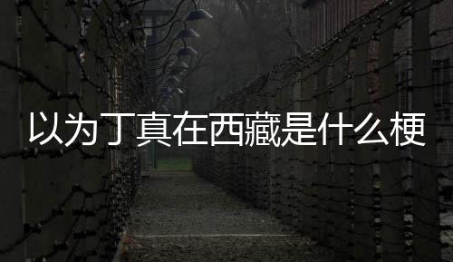 以为家乡在西在哪丁真丁真梗藏是里什么