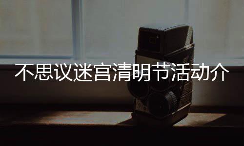 议迷介绍节活明节迷宫动一宫清不思 不活动清明览思议