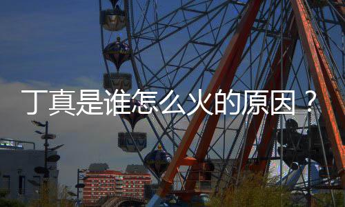 原因一个怎么真走丁真丁个火的红第是谁视频是哪