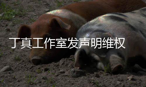 认已维权闻养传丁真工作轨被包婚出室发声明 否