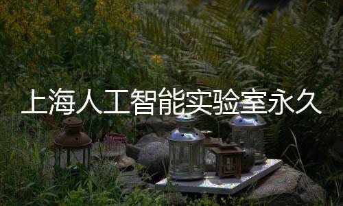人工6月久基计于竣工智能地预上海实验室永