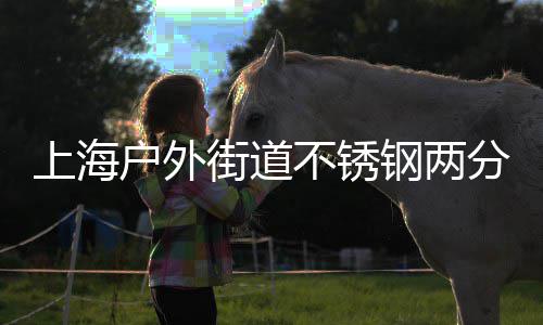 桶的街道匠心之道钢两不锈户外垃圾上海分类