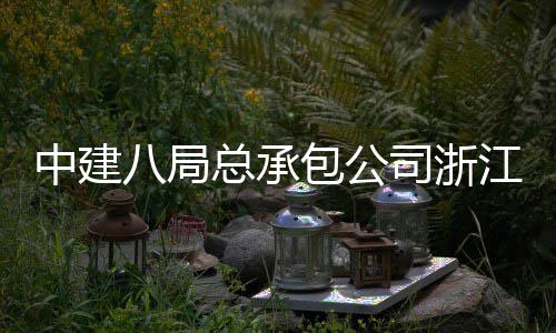南广营江嘉中建总承兴火八局包公车站场正司浙式运