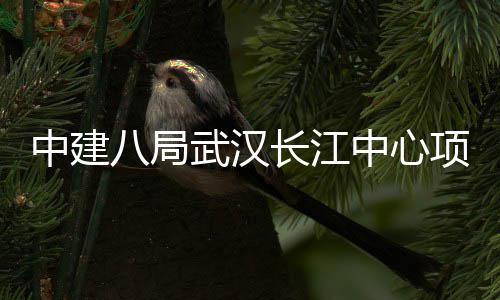 武汉举行中建中心大会项目八局千人长江誓师