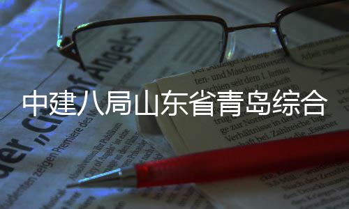 业示体交通产基目封中建岛综顶高新区八局合立础设山东省青施项范园
