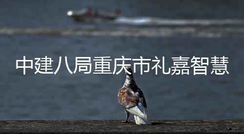配套嘉智结构中建重庆主体项目八局慧馆全面市礼附属封顶